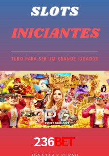 Descubra a Essência do 236Bet: Nossa História e Compromissos